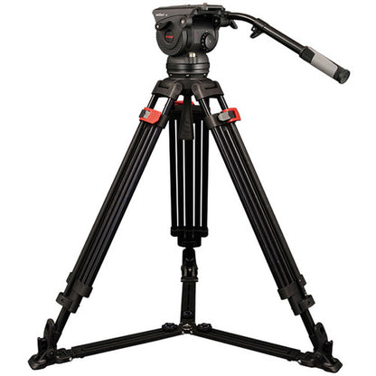 M8DL